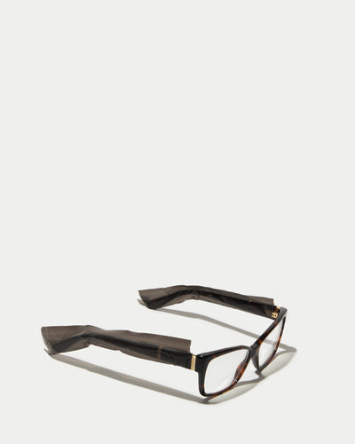 Eyeglass protectors, eyeglass arm covers, eyeglass covers, disposable eyeglass protectors-hover